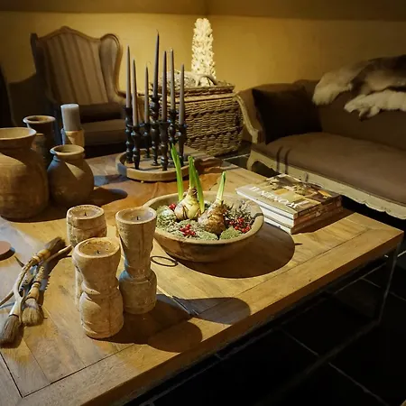 Boutique De Brakelhoen Hotel Brakel